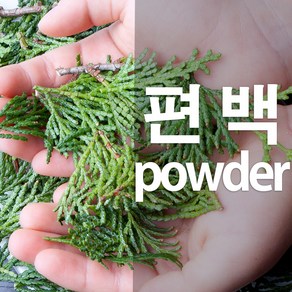 편백잎가루 히노끼 분말, 100g, 1개, 1개입