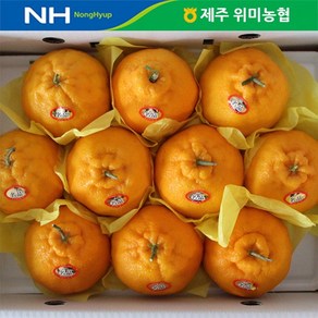 제주 위미농협 선물세트 한라봉 3kg(6-15과내외), 1개