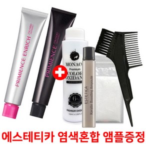 시세이도 염색약80g+에스테티카 염색혼합 앰플증정//멀티컬러/멋내기 유행칼라 프리미언스 멋내기칼라 염모제, 새치커버, 새치(내추럴브라운) NB-4, 80g, 1개