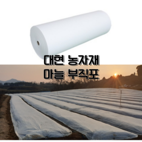 농업용 서리방지부직포 못자리부직포 20g 40g 마늘부직포 양파부직포 고추부직포, 20g 200cmX400m, 1개