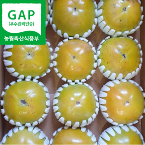 [당도보장] GAP 인증 밀양 고당도 단감 5kg 10kg 부유단감 대봉감 태추단감 특대과 단감