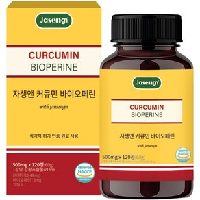 자생 커큐민 앤 바이오페린, 120정, 1개