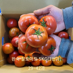 [신선보장] 아침에 따서 그날 보내는 완숙토마토, 3번과, 1개, 5kg