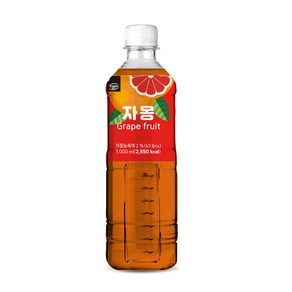 까르페데이 과일음료 베이스/대호 액상 1000ml