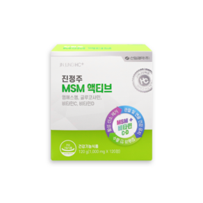 진정주 MSM 액티브 120정, 1개