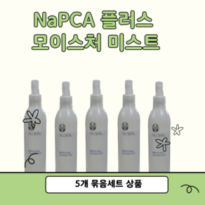 뉴스킨 NaPCA 플러스 모이스처 미스트 5개 묶음 세트