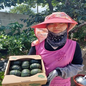 국내산 밤호박 밤호박 보우짱 해남 단호박 1.5kg 3kg 5kg 10kg 20kg, 1개, 단호박 5kg