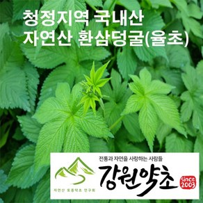 국산 자연산 환삼덩굴 300g 청정지역에서 채취 건조, 1개