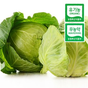 친환경 무농약 양배추 국내산 맛있는 양배추 3kg 5kg