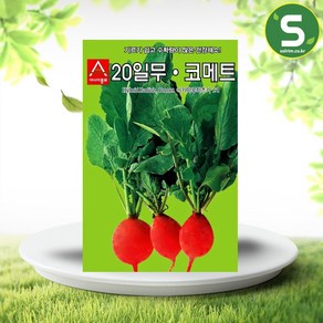 솔림텃밭몰 20일무씨앗 12g 코메트 20일무 무씨앗 건강채소, 1개