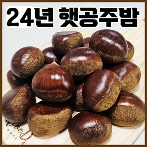 24년 햇 명품 국산 공주밤 1kg 출시 ( 칼집O/칼집X ), 공주밤 1kg+1kg 칼집O, 1개