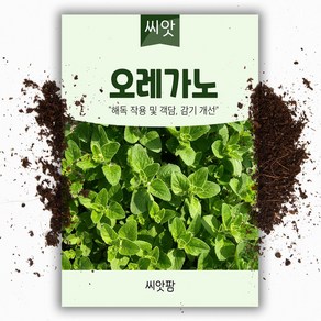 씨앗팜 허브 오레가노 씨앗 (200립)