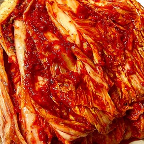 [한정특가] 갓 담아 맛있게 매운 실비김치, 1박스, 2kg