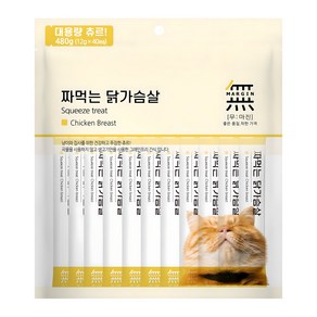 무마진 고양이 짜먹는 간식, 닭가슴살, 480g, 1개