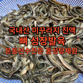 [동성탕제원] 운동선수 어린이 보양식 30포 미꾸라지 진액 액기스 엑기스 직접 제조, 30개