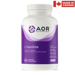 캐나다 에이오알 L- 카르니틴 120정 지방 대사 비건 글루텐프리 AOR L-Canitine, 1개