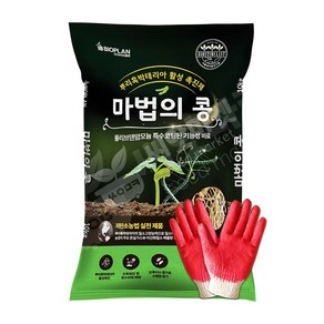 바이오플랜 마법의콩 10kg 뿌리혹박테리아 활성 촉진제 뿌리발달 다분지 형성 기능성비료, 1개, 10L