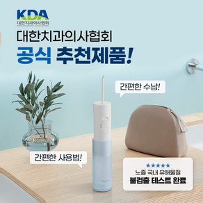 파나소닉 무선 물치실 제트워셔 휴대용 구강세정기 잇몸케어 임플란트 치아교정 필수 구강세정기 EW-dj11, 기본, 선택하세요