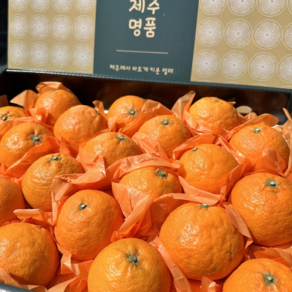 [재구매1위] 프리미엄특품 어버이날선물 과일선물세트 카라향선물세트, 1개, 3kg 선물세트