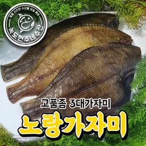 녹도현주네 노랑가자미 반건조 가자미 특대 손질크기20cm내외 / 10미 고객감사 쎄일중