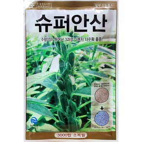 슈퍼안산참깨 3000립 24년 참깨씨앗 들깨씨앗 잎들깨, 1개