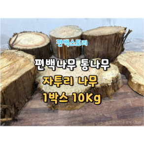 편백스토리 편백나무 통나무 자투리 땔감 10Kg 소품 친환경재료 캠핑장작 목재 주문제작