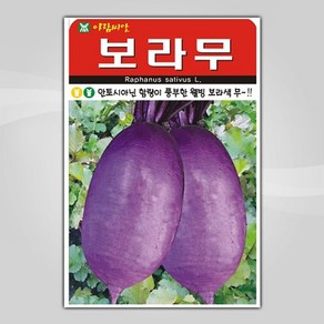 슬로시 김장채소 씨앗 종자 배추 무 갓 양파 시금치 알타리 당근 대파, 1개