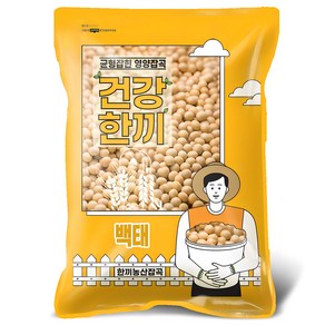 국산 백태 2kg 메주콩 노란콩 대두콩, 1개