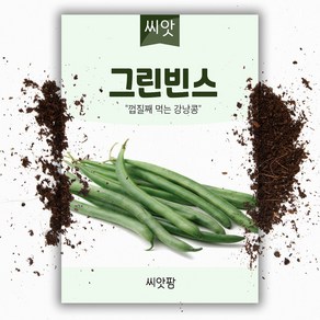 껍질채 먹는 강낭콩씨앗(10g), 1개