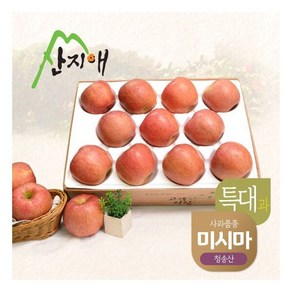 산지애 알뜰사과특대과 4kg