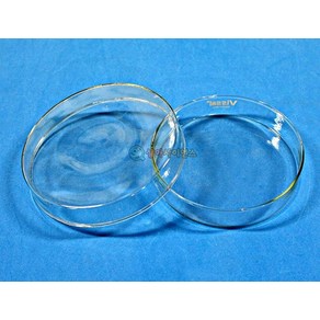 사이언샵 (사이언샵)페트리접시(샬레 유리)120mm