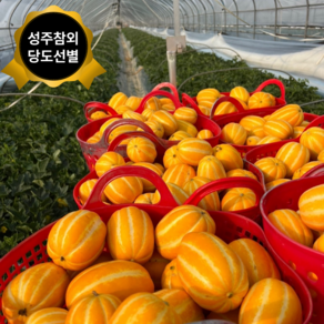 [오늘담다] 당도보장 성주 설탕참외 산지직송 참외 중소과, 1박스, 가정용5kg