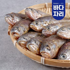 국내산 제주 참조기 개별 진공포장 중 10마리, 1개