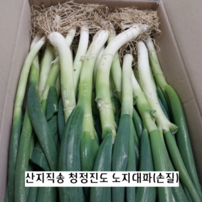 향이 진하고 달달한 진도 손질 노지대파 3KG 5KG 10KG 청정진도 산지직송 손질대파, 1개