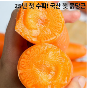 [맘카페1위!] 25년첫수확 신선싱싱 국산 햇당근, 1박스, 3kg (중)