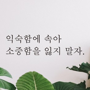 어썸투데이 예쁜 감성 문구 레터링 스티커 익숙함에 속아 소중함을 잃지 말자, L-030, 검정