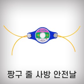 대원 짱구안전날