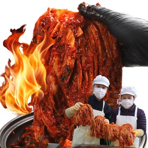 [더본촌] 100% 허벌나게 매운 전라도 실비김치 포기김치 배추김치, 1개, 1kg