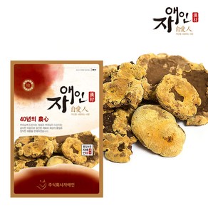 자애인 국산 상황버섯 150g 건조 상황버섯차, 1개