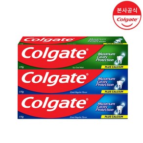 콜게이트 맥시멈 캐비티 프로텍션 치약 레귤러 2개 + 쿨민트 1개, 3개, 175g