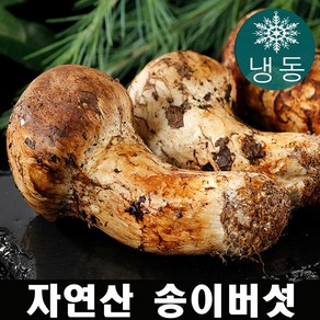 진심좋은 자연산 냉동 송이 버섯 자연 송이버섯 1kg, 특등급 1kg, 1박스