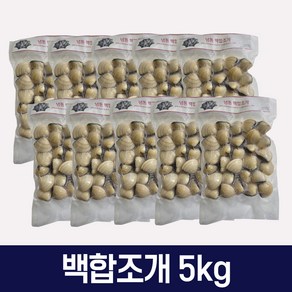 다인수산몰) 냉동 백합조개 5kg 베트남 식당 업소용, 1개