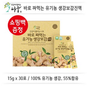 [건강이열리는나무] 바로 짜먹는 생강보감 15gx30포x1박스(450g)/ 쇼핑백포함, 450g, 1개