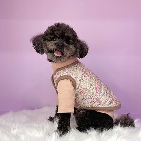 62-715 패턴인 P1765 - Dog Vest(강아지 패딩 조끼), 1개