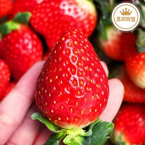 [프리미엄] 달콤한 딸기 금실딸기 산지직송, 2개, 500g (1팩)