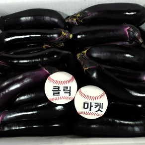 클릭마켓 국내산 가지 10kg