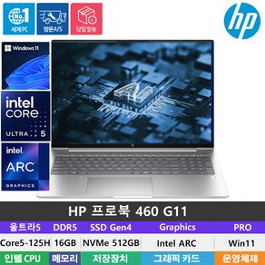 (당일발송) HP AI 프로북 460 G11 울트라5-125H/DDR5 16GB/NVMe 512GB/ARC그래픽/Win11Po/16인치/WUXGA/300Nit, WIN11 Po, 실버, 512GB, 16GB