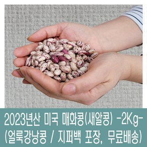 [다온농산] 수입 미국산 매화콩/매화강낭콩/새알콩 -2Kg- 지퍼백, 1개