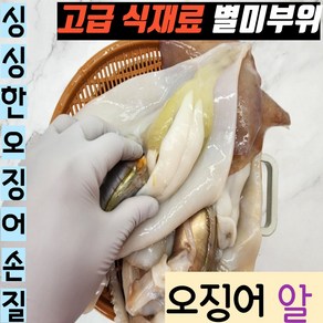 오징어 알 이리 고급 식재료 싱싱한 국내산 원양산 500g (6-8미 12-15미)MC인증[00005], 1박스, 500g(6-8미 12-15미)