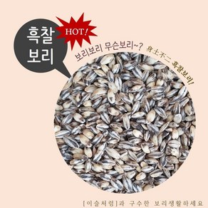 이슬처럼 국내산 검정보리 흑보리 흑찰보리 1kg (2024년산), 1개